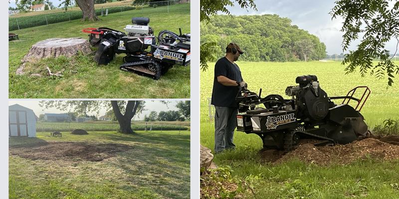 Wilkins Stump Grinding