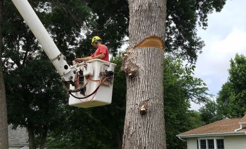 K & M Tree Service 441 S 9th St, Cherokee Iowa 51012