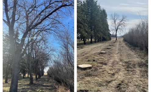 Peters Tree Service 205 Melrose St, Wall Lake Iowa 51466