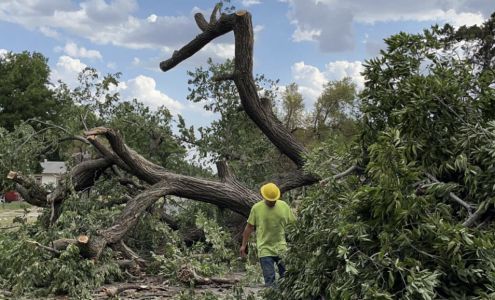 Arbor Surgeon Tree Service 8551 US-77, Newkirk Oklahoma 74647