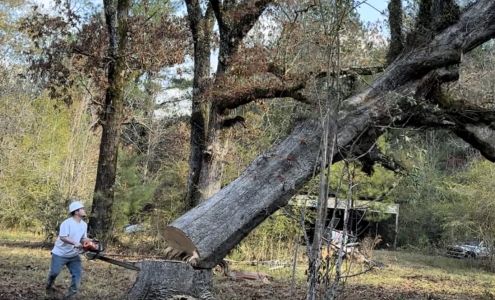 Satterfields’s Land Improvement and Tree Service LLC 539 Hwy 98 E, Tylertown Mississippi 39667