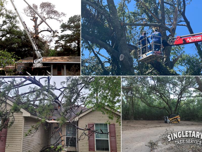 Singletary's Tree Service LLC