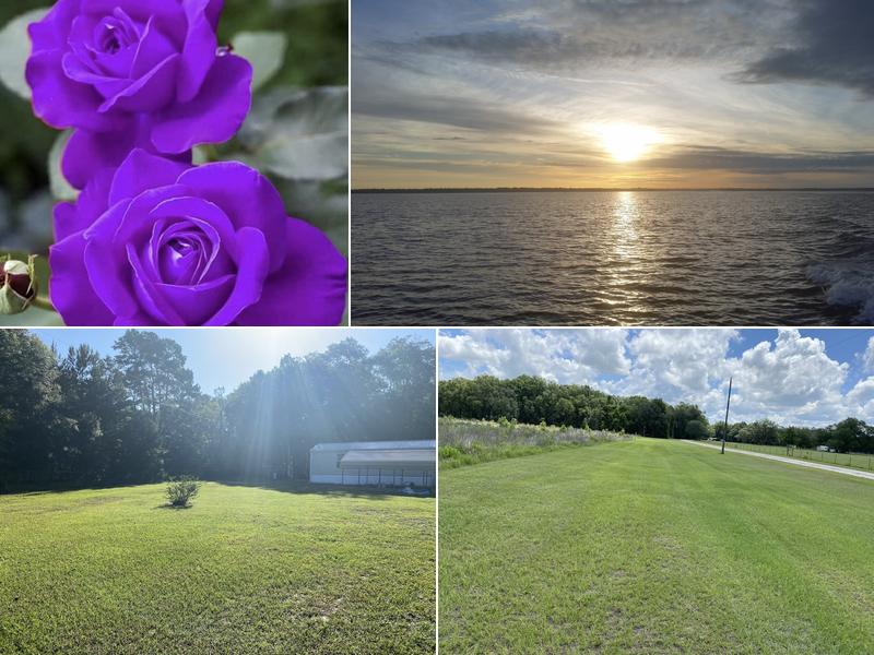 Mendoza's Lawn Services