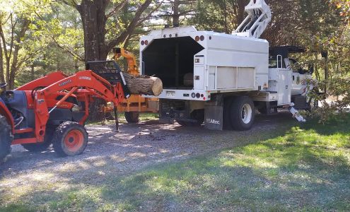 Little Wabash Tree Service 21805 Snapper Rd, Omaha Illinois 62871