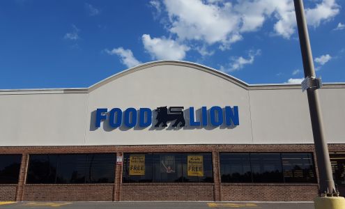 Food Lion Mount Pleasant