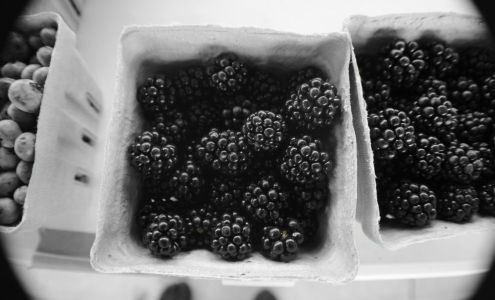 Weichert, Realtors Welch & Company