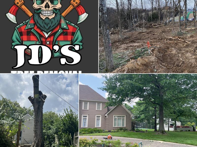 JDS TREE REMOVAL