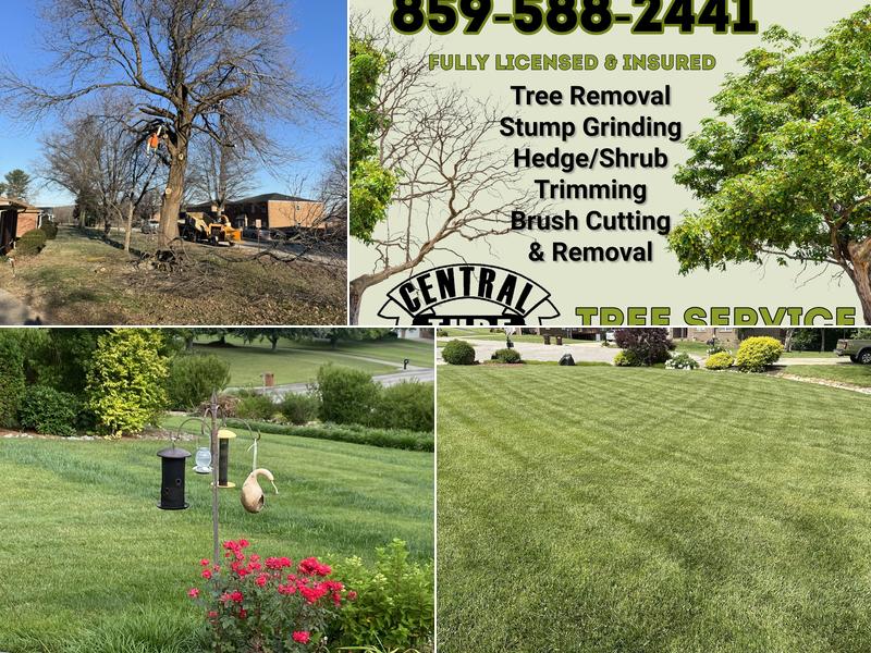 Central Turf Lawn Care & Tree Service