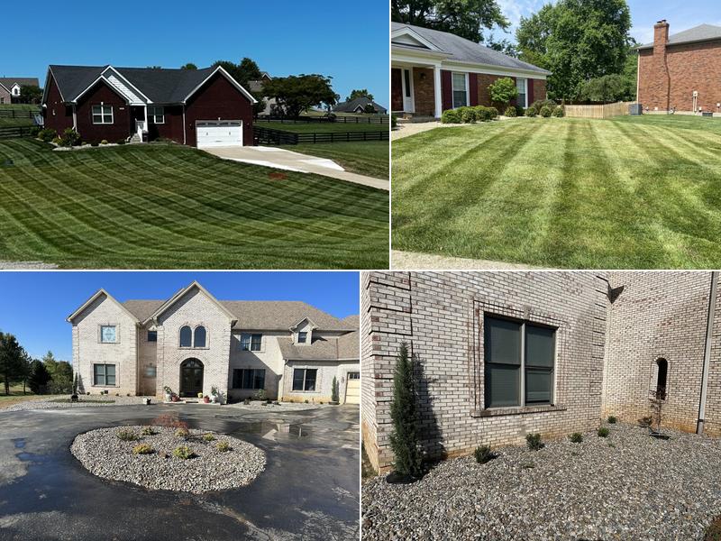 N. C. Lyons Services