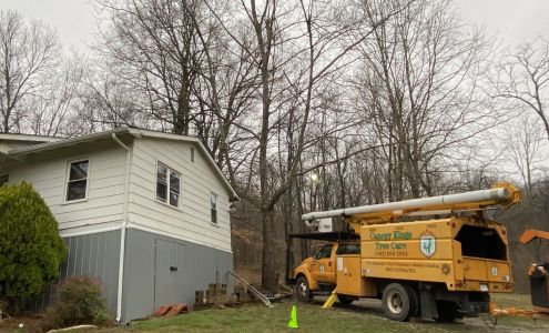 Canopy Kings Tree Care 469 D E Brown Rd, Brandenburg Kentucky 40108