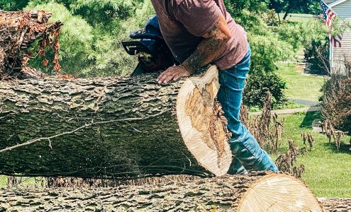 A+ Tree Care 3027 Mason Way, Shelbyville Kentucky 40065