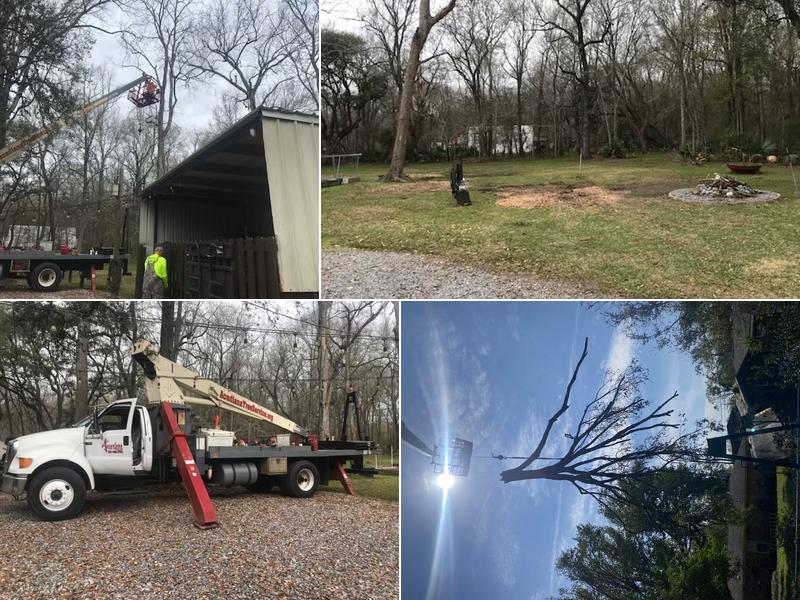 Acadiana Tree Service & Stump Removal