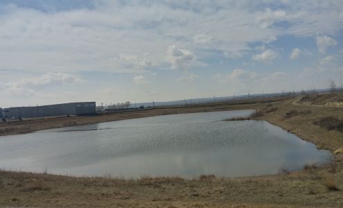 Brewers Distributor Ltd