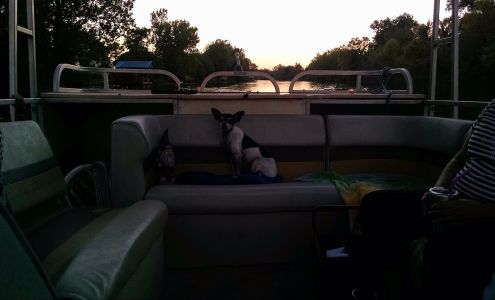 Rds Construction LLC