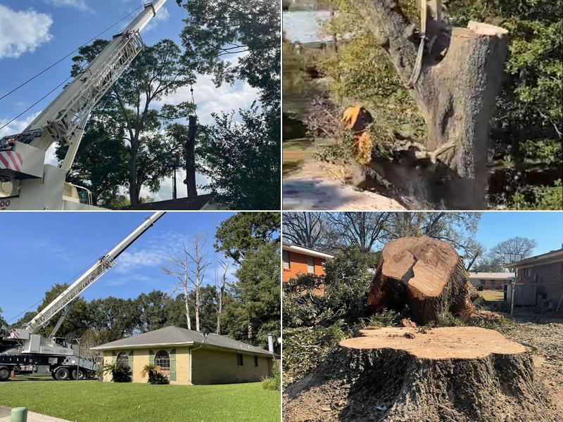 All American Tree Pros LLC