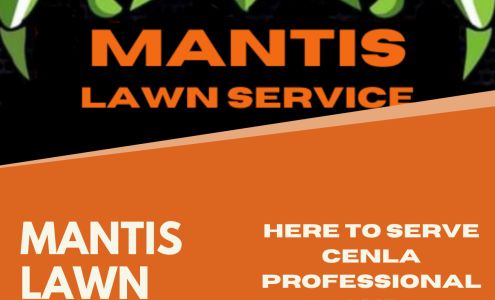 Mantis Lawn Service