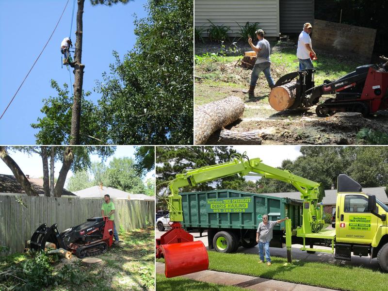 Northshore Tree Specialist LLC