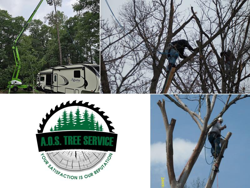 A.O.S. Tree Service
