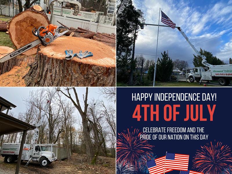 Advanced Tree Service and Landscaping