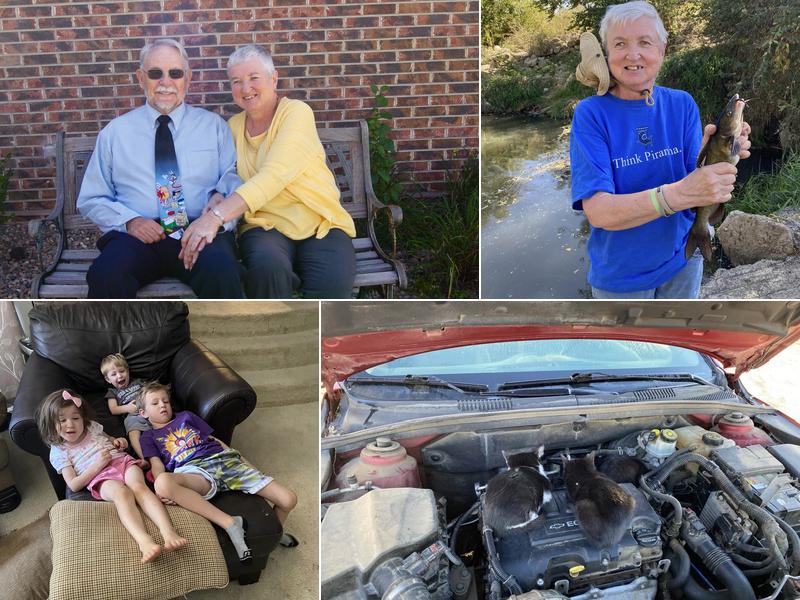 Iris' Cleaning Service