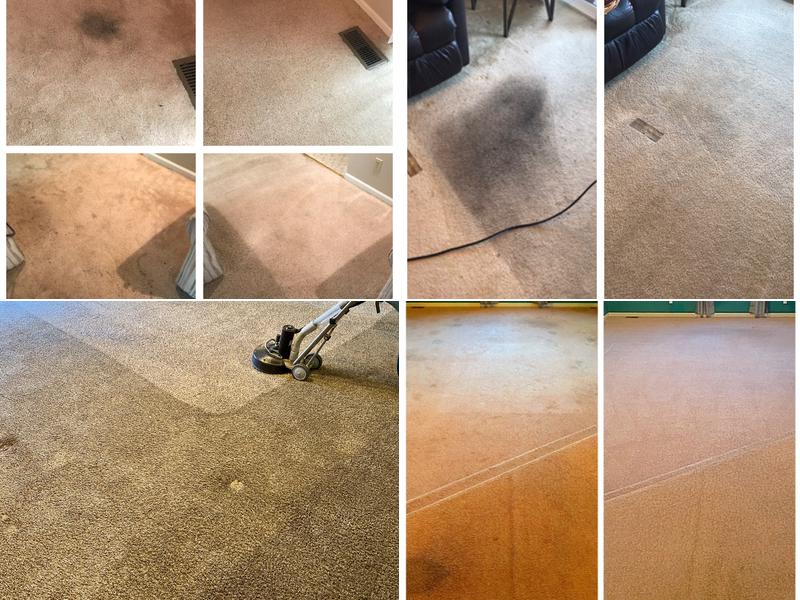 The Lake Carpet Cleaning