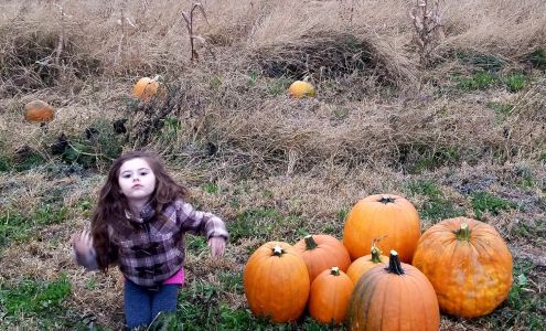 Sunnyside Family Farm LLC - Ferme Ensoleillée Familiale, Ltée Linneus