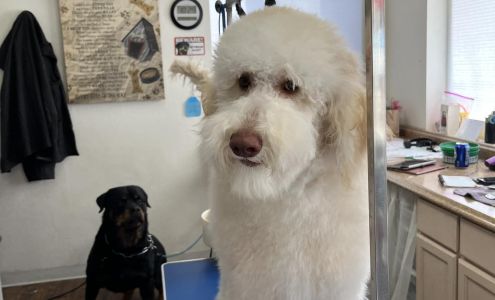 Paws and Claws Grooming 13516 Co Rd Q, Fort Morgan Colorado 80701