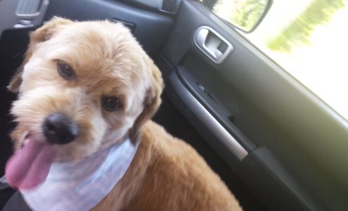 Ruff Cuts Sylvan Beach