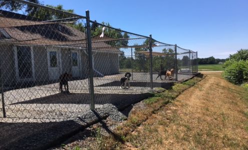 Applewood Kennels 6284 N Oceana Dr, Hart Michigan 49420