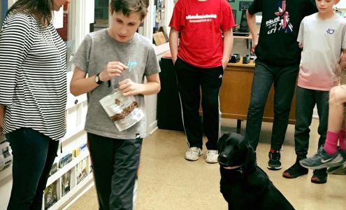 Happy Tales Pet Boarding & Daycare 2693 7th St, Cumberland Wisconsin 54829