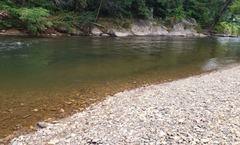 Witche's Tree Lansing