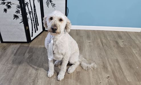 Buddy Paws 620 Tam St, Ainsworth Iowa 52201