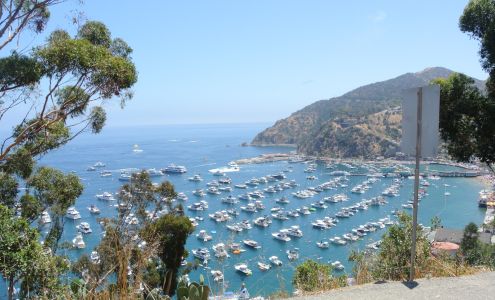 Public Showers Avalon