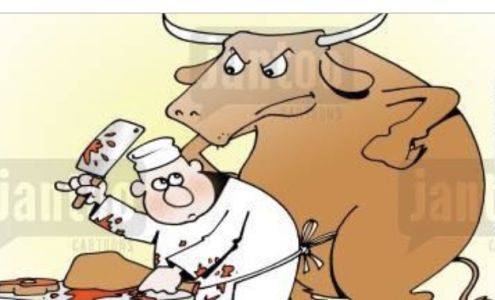 Cedar Vale Locker Cedar Vale