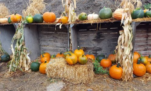 Wilson Banner Ranch Clarkston