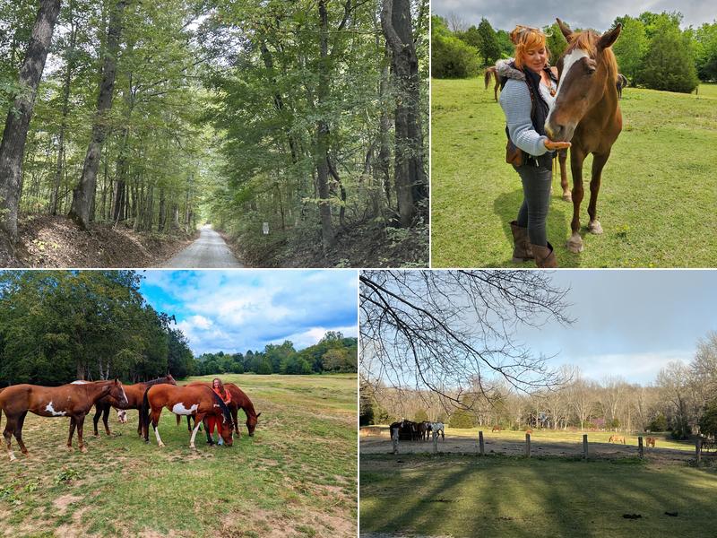 Lake Glendale Stables & Equestrian Center