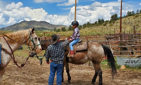 Bear Basin Ranch 473 Co Rd 271, Westcliffe Colorado 81252