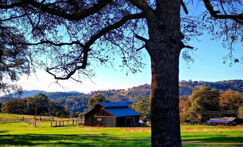 Big Table Ranch Coulterville