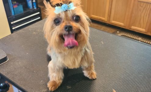 Pet Haven Country Inn 3038 KY-191, West Liberty Kentucky 41472