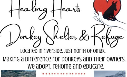 Healing Hearts Donkey Shelter and Refuge Riverside