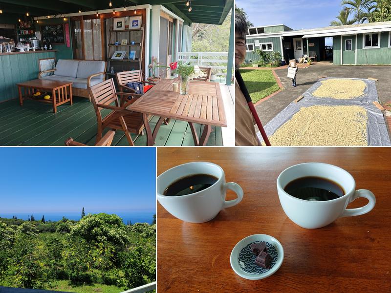 Pine Village small Farm