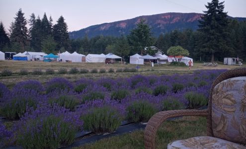 Cowlitz Falls Lavender Company Randle
