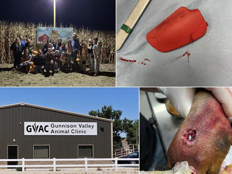 Gunnison Valley Animal Clinic: Larsen Chris R DVM