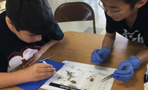 St Catherine Laboure School