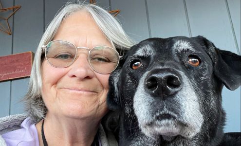 Picture Perfect Dog Grooming