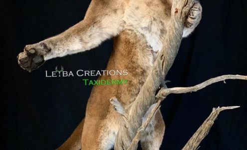 Leyba Creations Cebolla