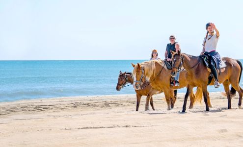 Equine Adventures 52193 Piney Ridge Rd, Frisco North Carolina 27936