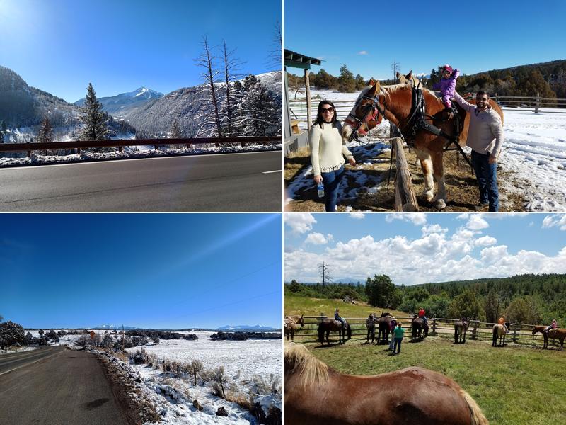 Telluride Horseback Adventures - Ride with Roudy