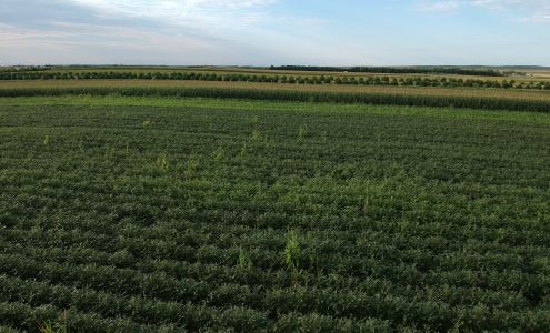 Biggins Hunting Service Gregory