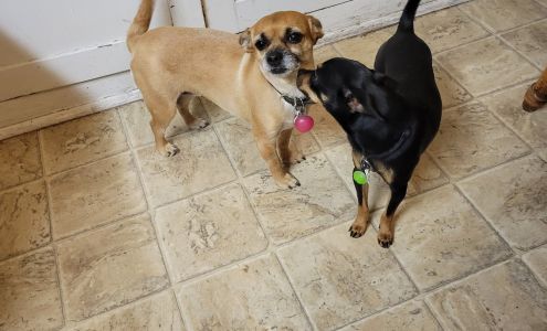 Pet Parlor Richfield